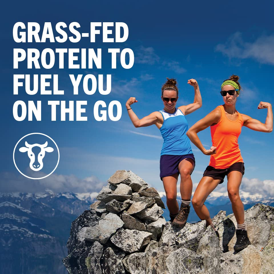 Grass Fed Clean Protein Shake, Vanilla Bean - 20G of Protein, Meal Replacement, Ready to Drink, Gluten Free, Soy Free, Kosher, 11 Oz, 12 Count (Packaging May Vary)